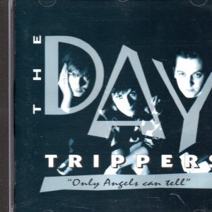 The DAY TRIPPERS - Only angels can tell