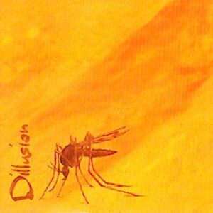 DILLUSION - Figé - CD