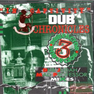 DUB FACTOR 3 – IN CAPTIVITY – DUB CHRONICLES
